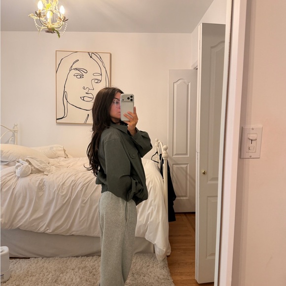 Aritzia Telegraph Bomber - Picture 3 of 4